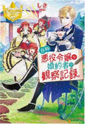 纤细的爱特别篇